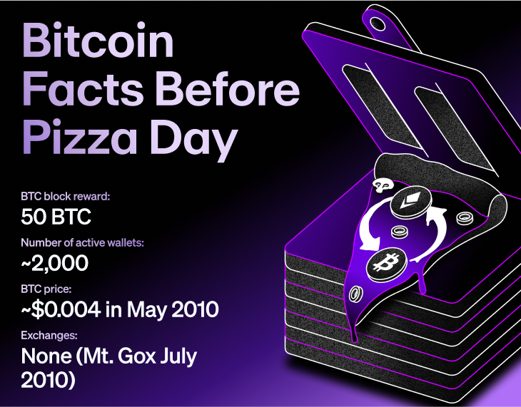 An infographic of facts about Bitcoin before the Pizza Transaction