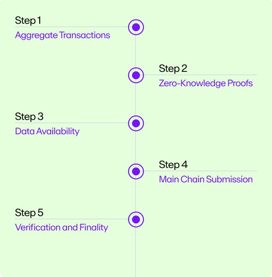 A flow chart of the ZK-Rollup process