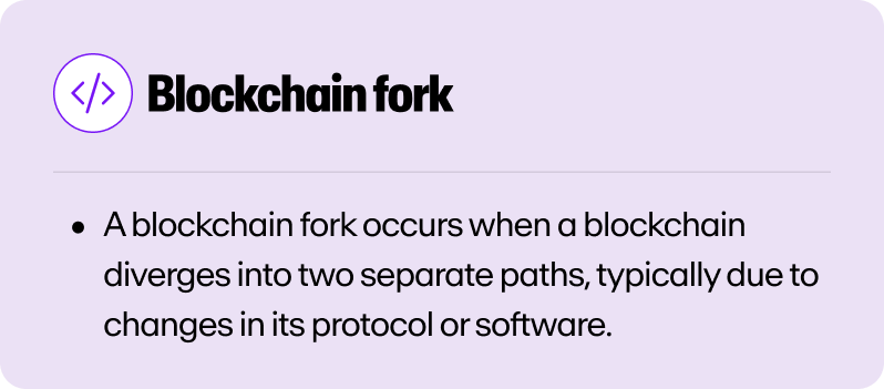 A definition of blockchain forks