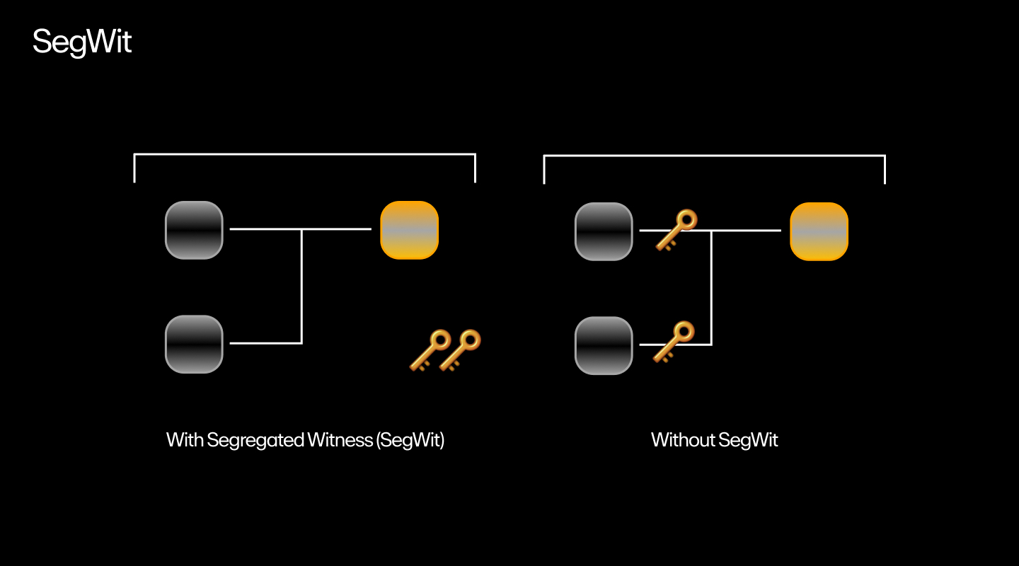 A visual representation of how a SegWit transaction works.