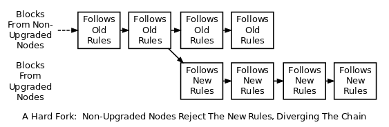 A diagram showing a hard fork.